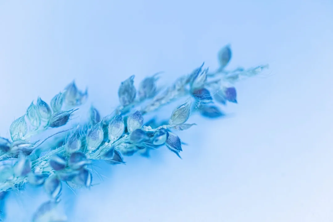 黑龙江企业品牌营销策划全流程解析:从策略到落地的执行要点